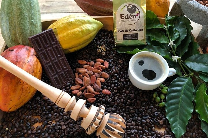 Eden Mocca Tour - Photo 1 of 23